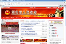 湖北省政府门户网站新版上线 信息更公开服务更深入